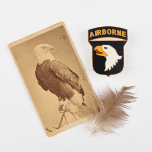 picture of bald eagle, patch with bald eagle, brown feather